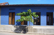 Hotel los patios